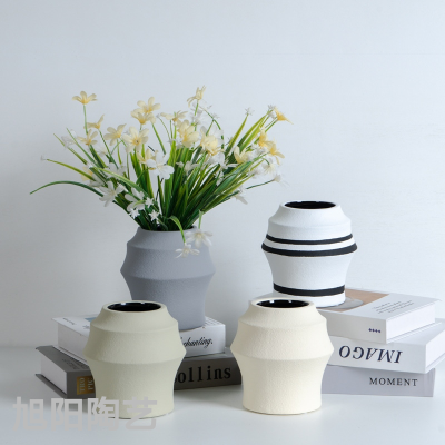 INS Nordic Style High-Grade Home Ceramic Vase Light Luxury Living Room Decoration Artisan Vase Hydroponic Flower Pot Ornaments