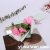Wholesale Mother's Day Teacher's Day Simulation Bar Soap Eternal Carnation Flower Handmade Soap Bouquet Bath Gift