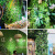 Simulation Plant Decoration Simulation Plant Wall Green Plant Wall Lawn Wall Decorative Flowery Wall Simulation Green Plant Wall Decoration