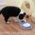 Double Bowl Pet Feeder Water Fountain Cat Basin Dog Bowl Cat Bowl Cat Supplies