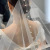 Pearl Bridal Single Layer Long Tail Veil Plain Gauze Wedding Dress Veil Wedding Trip Shoot Mori Style Vintage Length Veil