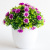 [Small Half Ball] Bonsai Simulation Plant Thousand Layer Flower Pot Home Decoration Fake Floriculture Creative Gift Decoration