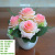 Desktop Silk Flower Ornament Artificial Green Plant Plastic Fake Flower Potted Indoor and Outdoor Home Decoration Rose Bonsai Wholesale