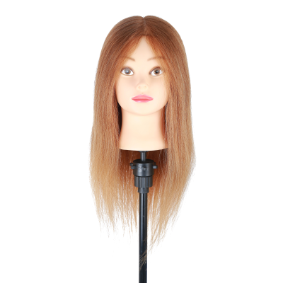 Mock Wig Hair Saloon Dedicated Hairdressing Mock Wig Mannequin Head Wig Factory Human Hair Mock Wig in Stock