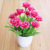 Desktop Silk Flower Ornament Artificial Green Plant Plastic Fake Flower Potted Indoor and Outdoor Home Decoration Rose Bonsai Wholesale