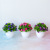 [Small Half Ball] Bonsai Simulation Plant Thousand Layer Flower Pot Home Decoration Fake Floriculture Creative Gift Decoration