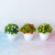 [Small Half Ball] Bonsai Simulation Plant Thousand Layer Flower Pot Home Decoration Fake Floriculture Creative Gift Decoration