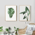 Green Plant Landscape Painting Maple Leaf Oil Painting Plant Corridor Cloth Painting Master Bedroom Hanging Painting Leaves Fresh Potted Painting