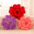 Rose Pillow (Flower-Pattern Throw Pillow) Cushion Plush Toy Sleeping Little Doll Valentine's Day Gift for Girls