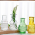 [Factory Direct Sales] Glass Aromatherapy Bottles Flower Reagent Glass Bottle Retro Small Vase