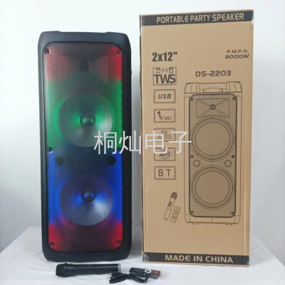 New DS-2203 Double 12-Inch RGB Flame Lamp Bluetooth 5.0 High-Power Speaker Outdoor Wireless Microphone Karaoke