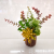 New Artificial Flower Wood Pot Succulent Bonsai Artificial Plant Decoration Living Room Bedroom Decoration