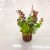 New Artificial Flower Wood Pot Succulent Bonsai Artificial Plant Decoration Living Room Bedroom Decoration