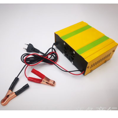 Lizhen E-Commerce Firm Storage Battery Charger 12 V24v Intelligent Pulse Repair Automatic