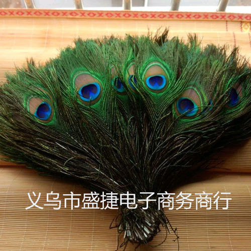 spot supply high quality natural peacock feather peacock feather quality assurance factory direct sales 20-120cm