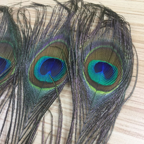 spot supply 20-25c middle eye real peacock feathers tail hair wedding diy feather decoration home decorations and accessories