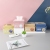 Airuize 2175xq Tissue Box Paper Extraction Box Desktop Storage Household Toilet Tissue Box Living Room Tissue Box