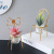 Nordic Ins Iron Chair Succulent Crafts Decoration Candlestick Creative Home Desktop Bonsai Decorations Dining Table