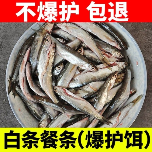 fishing bait fishy incense fishing white stripes table cover bait wild fishing white stripes nest material specializes in small white stripes bait