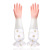 Daisy Two-Color Gloves Women's Dishwashing Kitchen Household Thickened Vegetable Washing Household Cleaning Laundry Durable