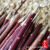 Wholesale Xinjiang Red Willow Prod Red Willow Branch Barbecue Mutton Skewers BBQ Stick Prod BBQ Sticks Wood Prod Free Shipping
