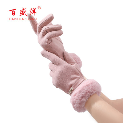INS Gloves Winter Female Cycling Student Cold-Proof Warm with Velvet Winter Windproof Riding Touch Screen Skiing Cotton Gloves