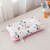 Factory Direct Sales Cartoon Children's Beanie Velvet Pillow 60S Long-Staple Cotton Baby Soothing Pillow Baby Kindergarten Pillow Insert