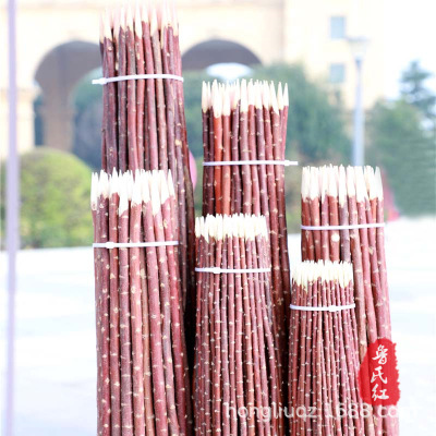 Wholesale Xinjiang Red Willow Prod Red Willow Branch Barbecue Mutton Skewers BBQ Stick Prod BBQ Sticks Wood Prod Free Shipping