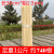 Disposable BBQ Bamboo Sticks Wholesale Lamb Skewers Spicy Hot BBQ Bamboo Sticks Bamboo PROD Tool Supplies