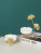 Northern European Creative Home Living Room Office Desk Surface Panel Fashion Individual Porcelain Light Luxury Ginkgo Leaf Tea Table Ashtray