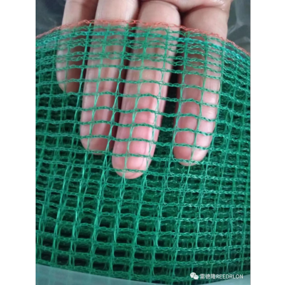 Exported to Philippines Sunshade Net Plastic Grid
