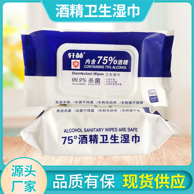 Factory Supply 75% Alcohol Wipes 80 Pumping Sterilization Sanitary Wipes with Lid Disposable Disinfection Wipes Wholesale