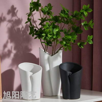 Xuyang Nordic Ceramic Vase Simple Black And White Flower Home Soft Decoration Ornaments Crafts Living Room Decorations