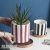 Nordic Ins Style round Simple Artistic Personality Striped Spot Flower Pot Ceramic Potted Plant Fake Flower and Dried Flower Green Plant