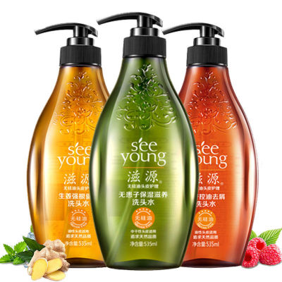 SEEYOUNG Shampoo Wholesale Shampoo 535ml Ginger Strong Roots and Healthy Hair Tea Seed One Piece Dropshipping