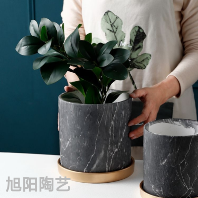 European-Style Cement Flower Pot Ceramic Gray Water Transfer Printing Simple Artistic Personality Amazon with Tray Green Radish Bonsai Basin