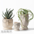Plain Burning Ceramic Basin DIY Hand-Painted Creative Breathable Basin Succulent Plant Special Clearance Breathable Flower Pot Simple Bonsai