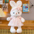 Cute Little White Rabbit Doll Daisy Rabbit Plush Toy Children Doll Girl Doll Birthday Gift Gift Wholesale