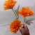 Single Artificial Flower Fake Flower Peony Flower Wedding Flower Floriculture Soft Outfit Factory Foreign Trade Artificial Flowers Manufacturer