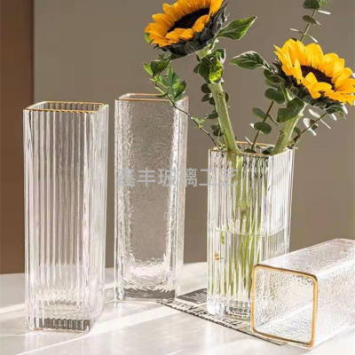 65593Factory Direct Sales Crystal Glass Golden Edge Square Cylinder Lucky Bamboo Lily Hydroponic Plant Vase Creative Decoration Craft