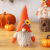 Cross-Border Autumn Harvest Festival Faceless Doll Sunflower Pumpkin Standing Posture Rudolf Dwarf Furnishings Ornaments