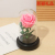 Rose Glass Cover LED Light Solid Wood Base