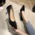 Women's High Heels 2021 Spring and Summer New Korean Style Pointed Stiletto Heel Elegant Shallow Mouth Women's Shoes Work Shoes