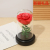 Rose Glass Cover LED Light Solid Wood Base