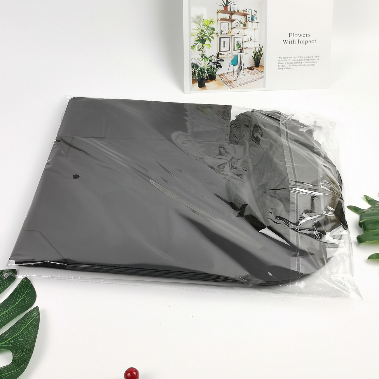 Product Image Gallery