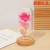 Jinbo Rose Preserved Fresh Flower Glass Cover LED Light