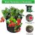 Amazon Enhanced Porous Felt Black Strawberry Planting Sack Non-Woven Fabric Root Control Bag Home Gardening Plant Bag