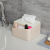 Nordic Home Tissue Box Paper Extraction Box Living Room Desktop Bedside Mobile Phone Holder Creative Plastic Storage 