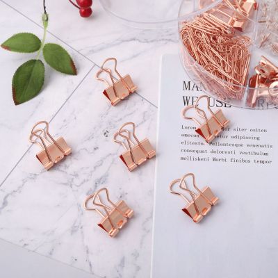 Cross-Border Direct Supply 19mm Rose Gold Long Tail Clip Clip Storage Set Multi-Functional Push Pin Ticket Clips Combination