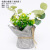 Amazon Home Living Room Wedding Celebration Artificial Plant Potted Artificial Flower Decoration Decoration Shooting Props